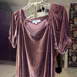 LOFT Women's Velvet Blouse - Rich Purple